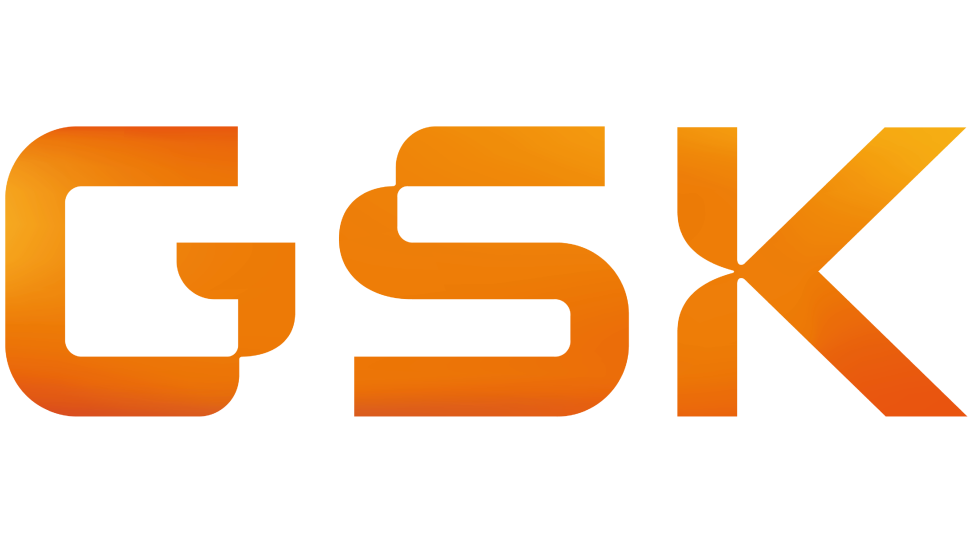 GSK GlaxoSmithKline Logo